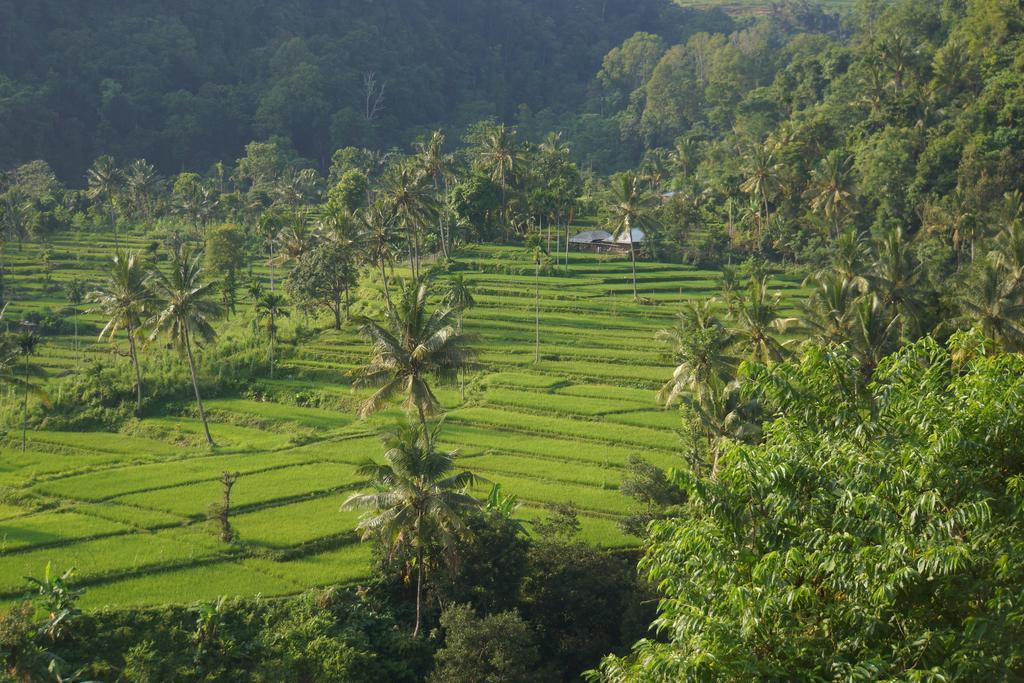 Horizon Senaru Villa المظهر الخارجي الصورة